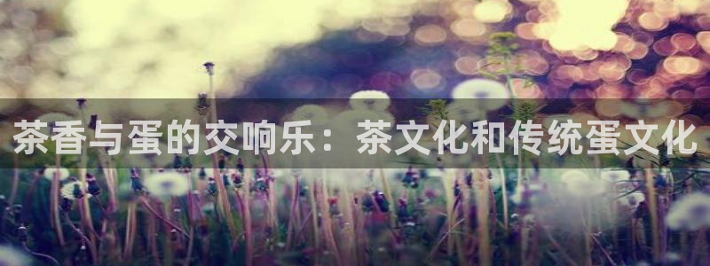 cmt彩名堂