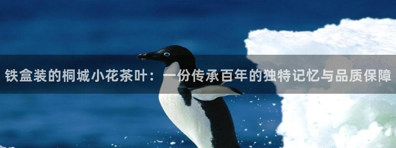 彩名堂一直不出结果怎么回事呀