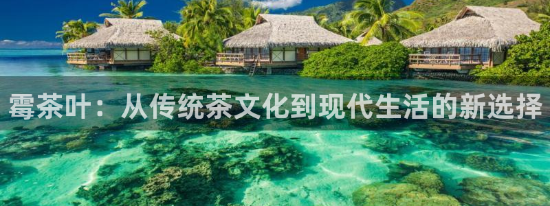 彩名堂预测免费计划怎么看的