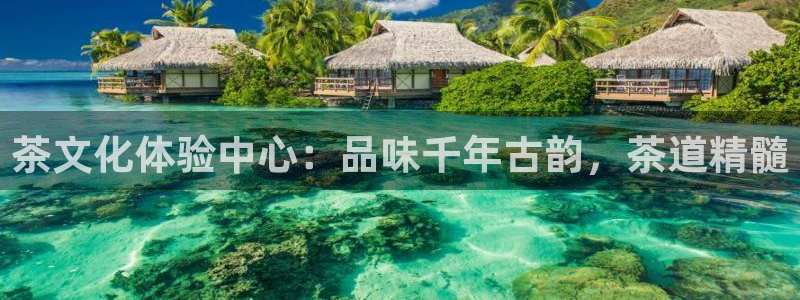 彩名堂一直不出结果怎么回事呢