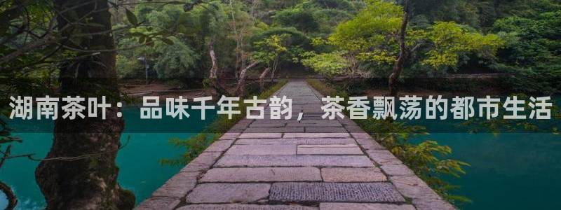 彩名堂计划app安卓免费下载