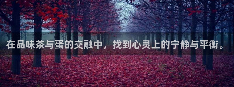 彩名堂5.0版计划怎么用不了