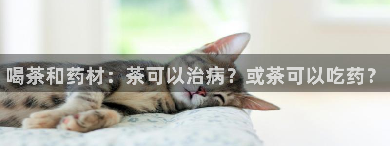 彩名堂安卓客户端官网下载安装