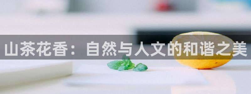 彩名堂4.3