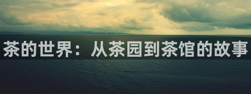 彩名堂官方平台