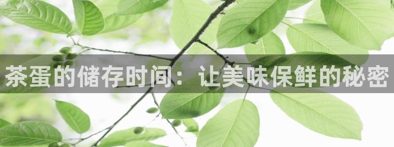 彩名堂免费计划官网5.0app