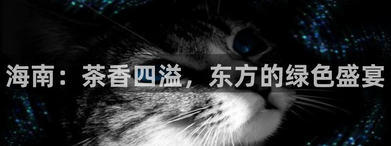 彩名堂免费计划官网老版本