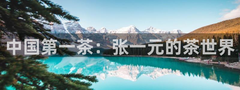 彩名堂预测软件与分析软件区别