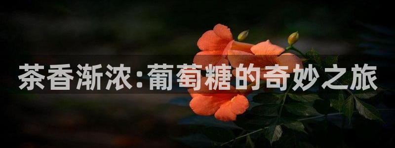 彩名堂客户端是永久免费吗安全吗