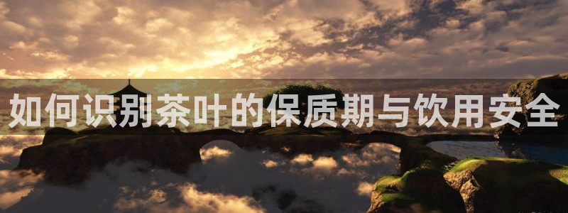 下载彩名堂预测计划软件安全吗