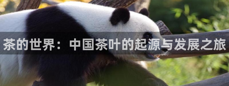 谁知道彩名堂网站是多少
