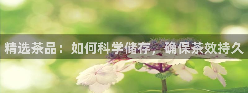 彩名堂计划app新版