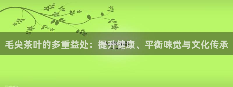彩名堂双彩网
