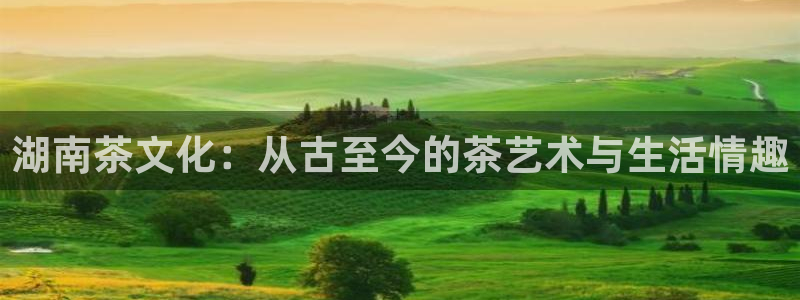 彩名堂计划官方下载网址