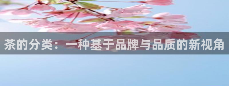 彩名堂官网计划客户端