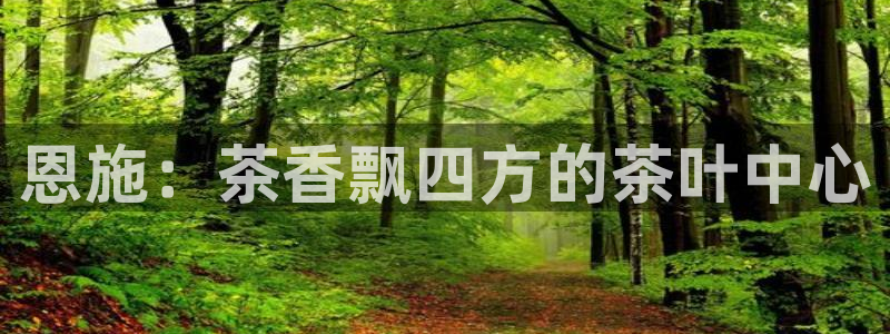 彩名堂预测软件与分析