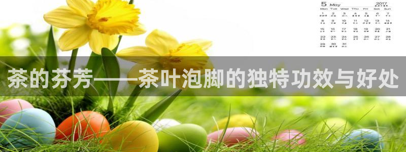彩名堂怎么打最稳