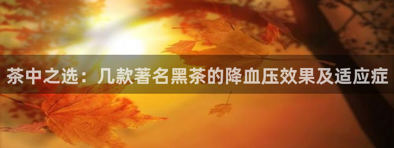 彩名堂免费计划官网老版本