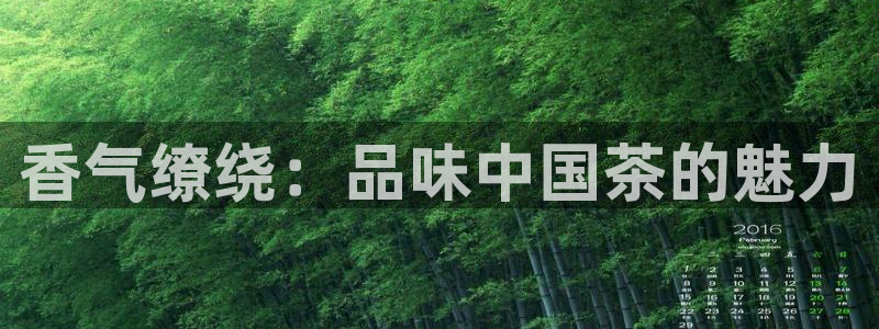 彩名堂怎么跟计划才不连挂呢