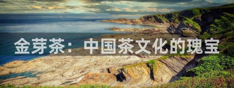 彩名堂怎么跟计划才不连挂呢