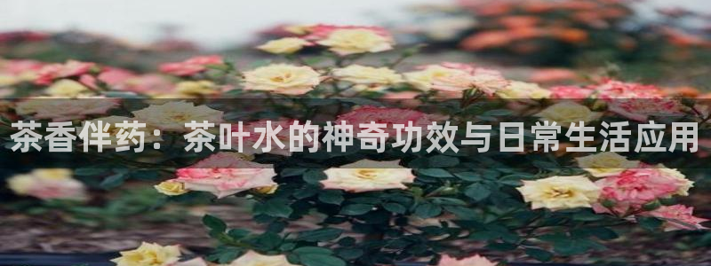 彩名堂官方软件下载