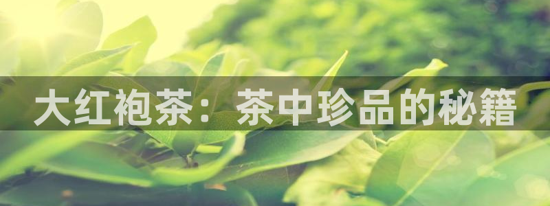 彩名堂app下载5.1.0
