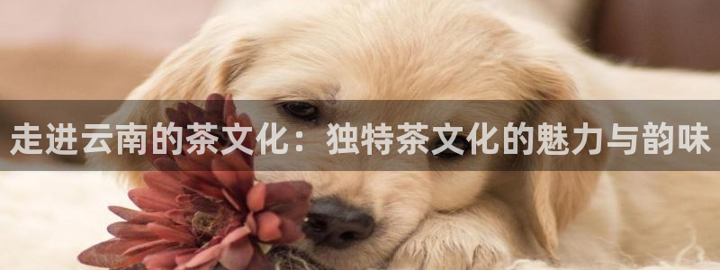 彩名堂到底怎么看,一跟就挂