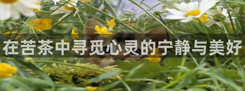 彩名堂客户端是永久免费吗