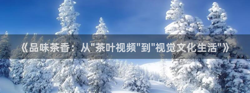 彩名堂50版本计划