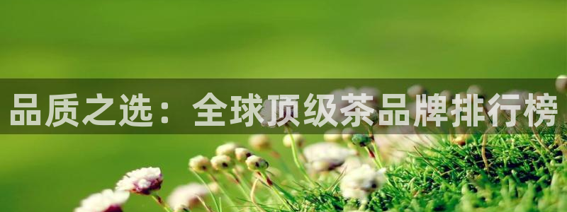 彩名堂还能用吗
