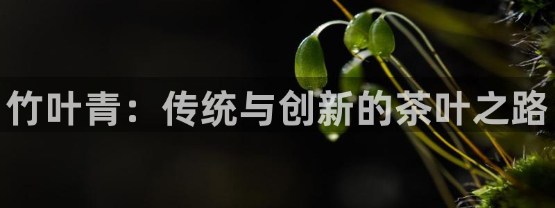 彩名堂人工预测免费计划