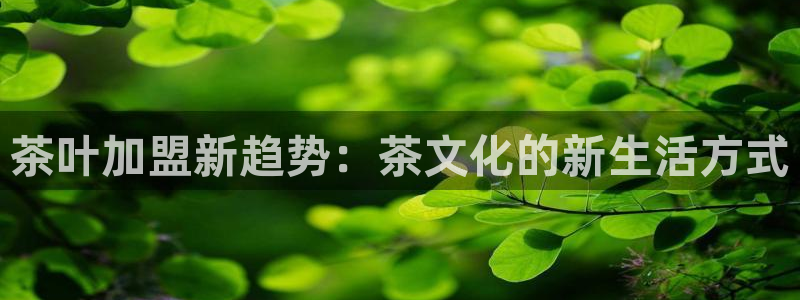 彩名堂预测