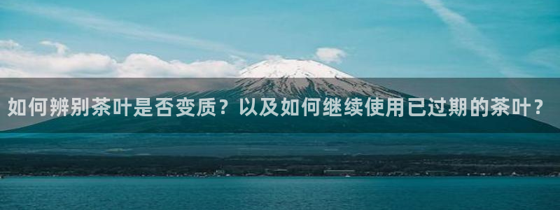 下载彩名堂预测计划软件安卓