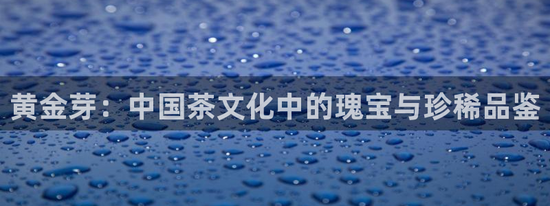 如何进入彩名堂官网更新