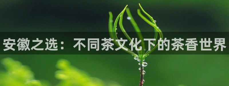 彩名堂计划怎么打不开了