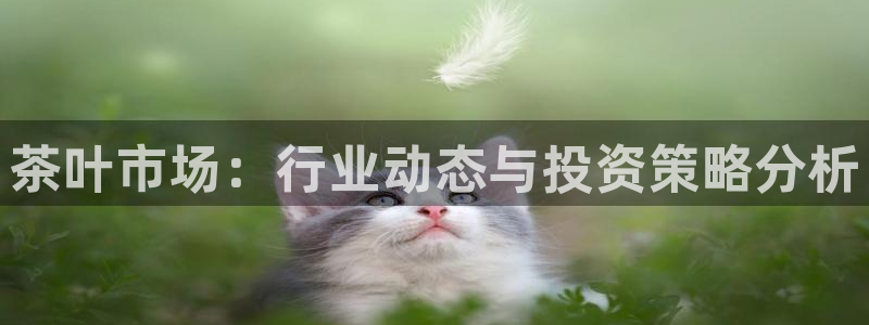 彩名堂01计划