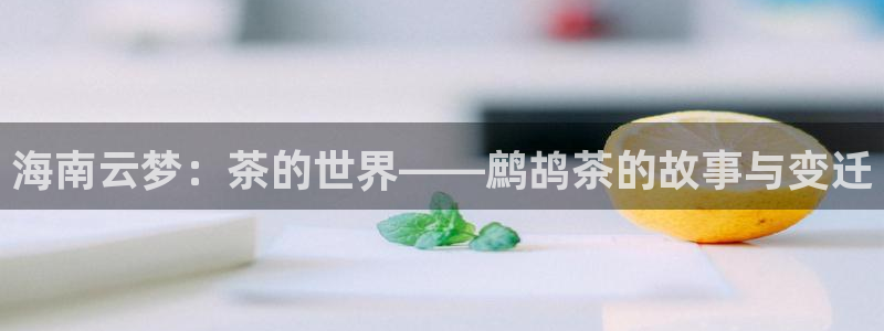 彩名堂计划怎么出的