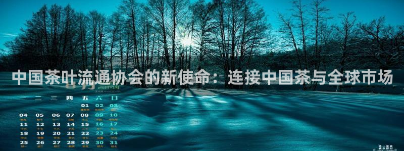 彩名堂官网计划客户端