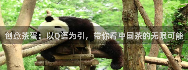 彩名堂双彩网