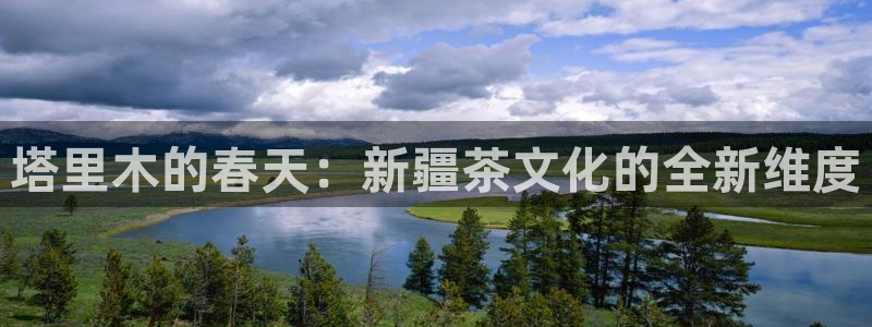 彩名堂官网谁有