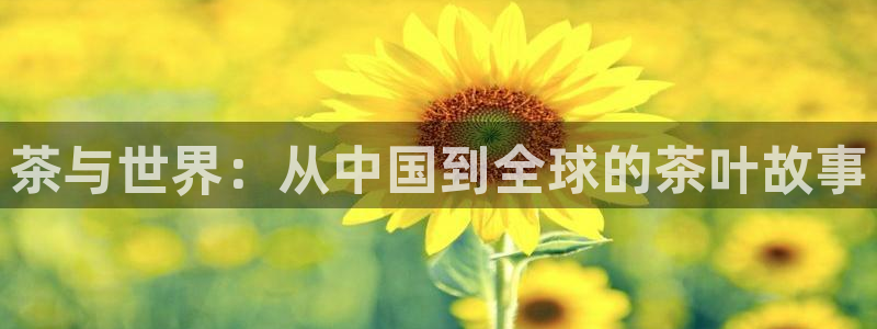 彩名堂最新预测3d