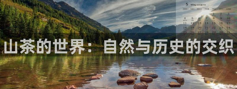 彩名堂人工预测免费计划