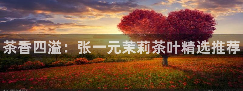 彩名堂图片