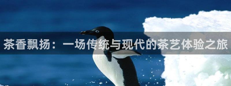 彩名堂计划怎么打不开了