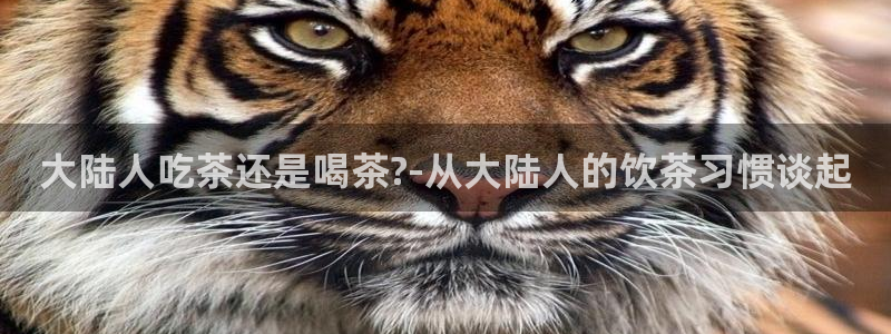 彩名堂免费计划软件下载