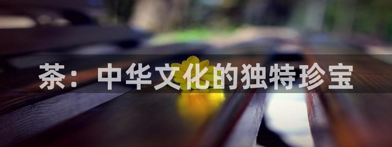 彩名堂使用方法