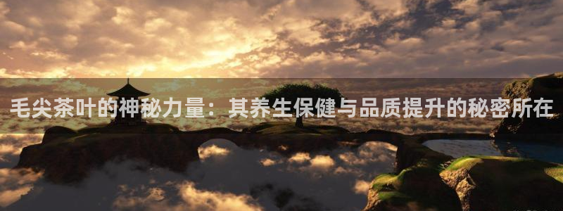 彩名堂预测