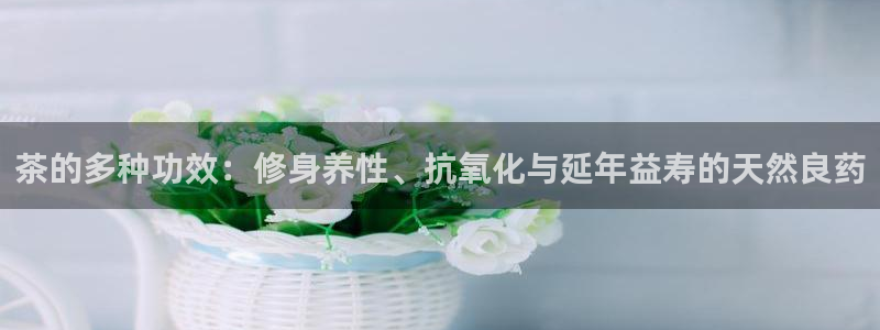彩名堂还能用吗