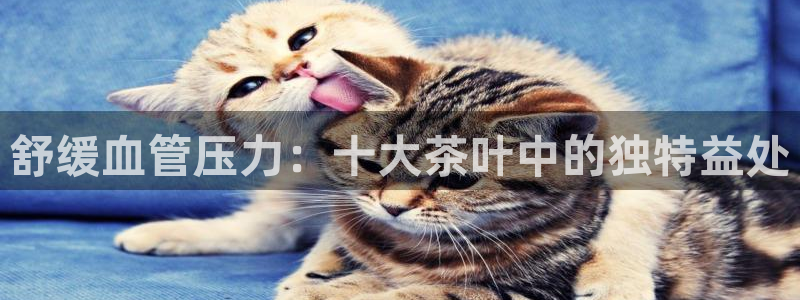 彩名堂预测计划软件