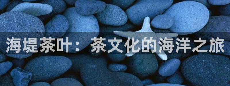 彩名堂.netnet